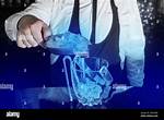 Adds Cold Cubes To