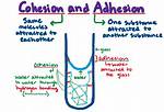 Adhesion Water