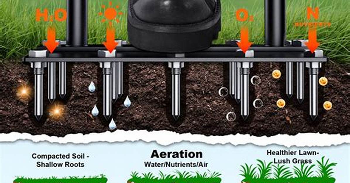 Aerator Tool