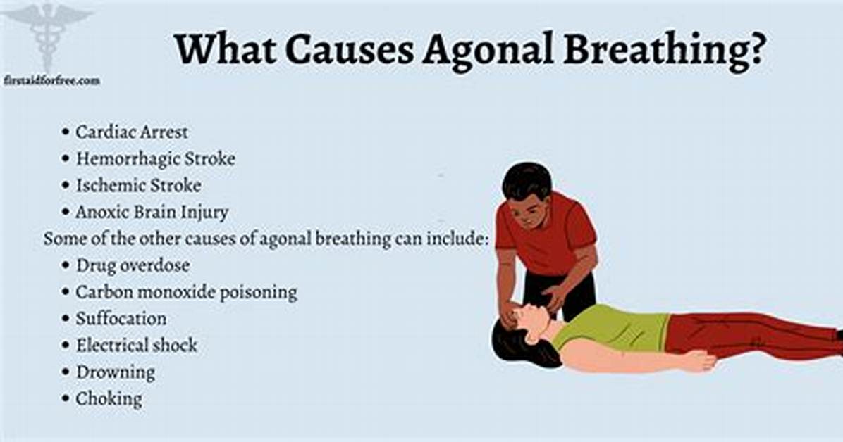 Agonal Respiration