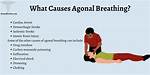 Agonal Respiration