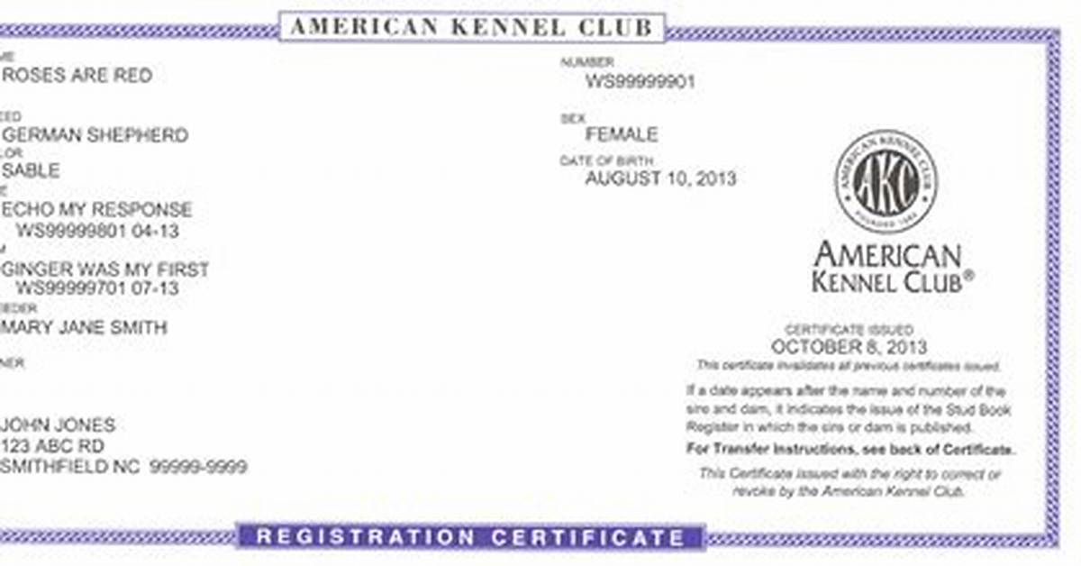 Akc Registered