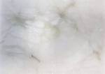 Alabaster Stone