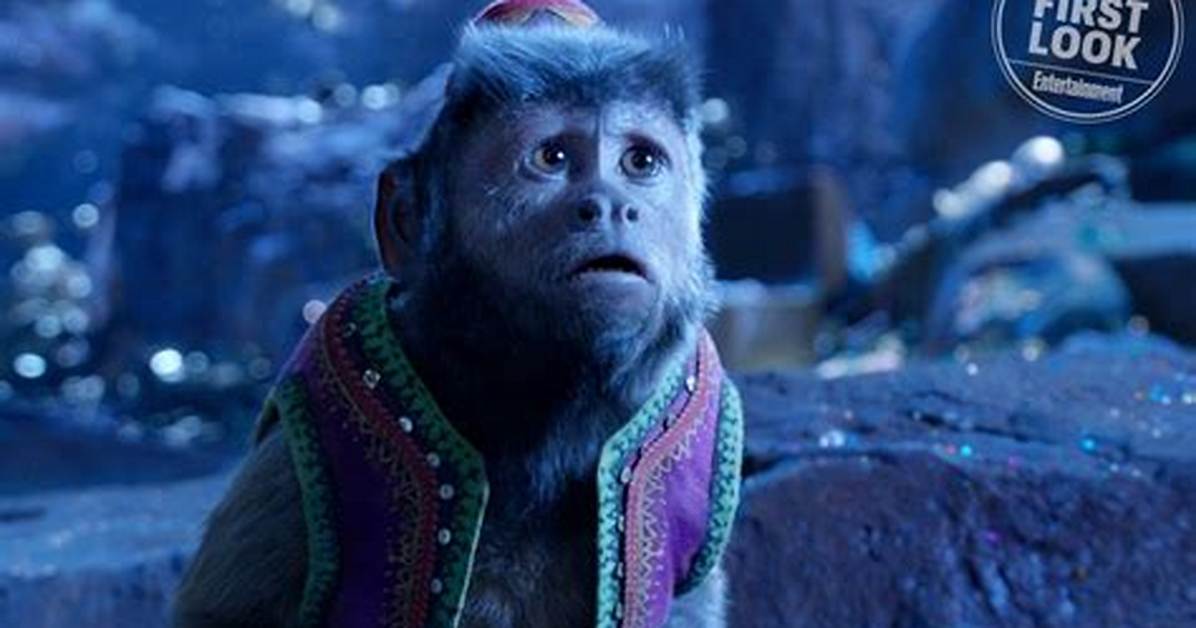 Aladdin Monkey