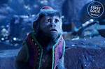 Aladdin Monkey