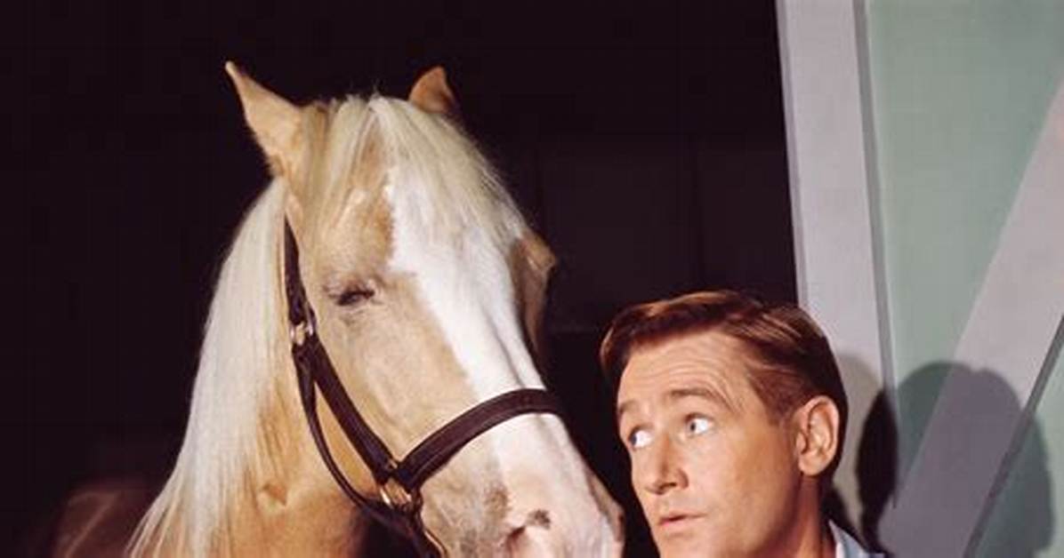 Alan Young