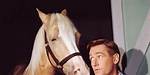 Alan Young