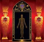 Alex Grey