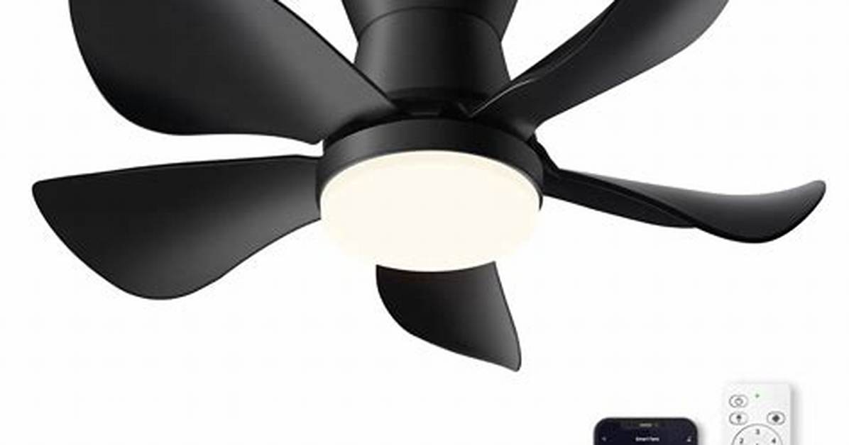 Alexa Ceiling Fan