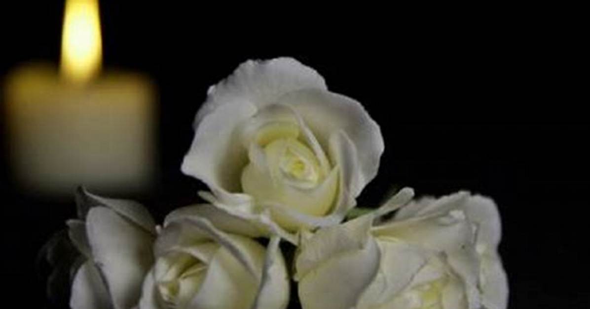 Alexis Lamastus Death and Obituary Unraveled