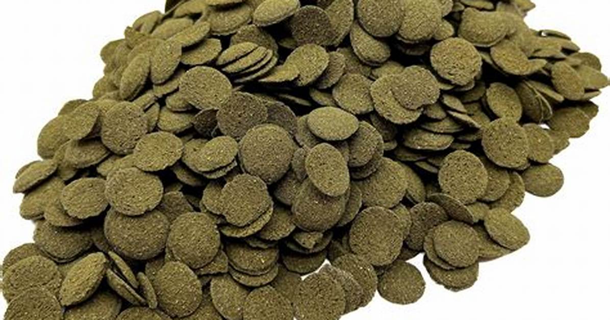 Algae Wafers