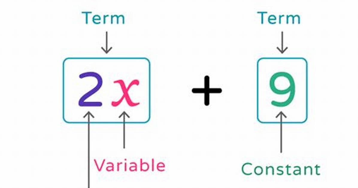 Algebraic Expression