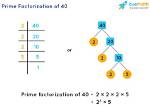 Algorithms for Finding the Prime Factorization of an Integer