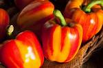Aloha Peppers