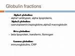Alpha 1 Globulin