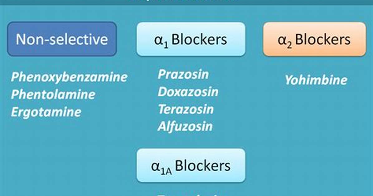 Alpha Blockers List