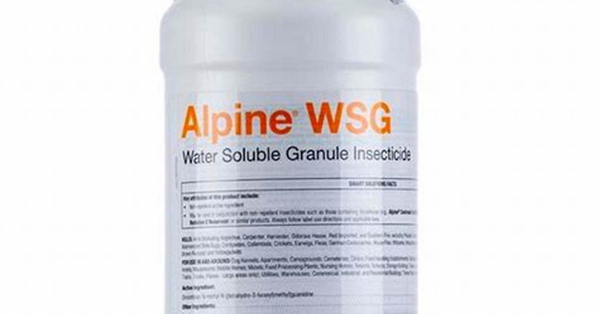 Alpine Wsg