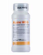 Alpine Wsg