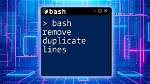Am I Using Bash or Sh? [Duplicate]