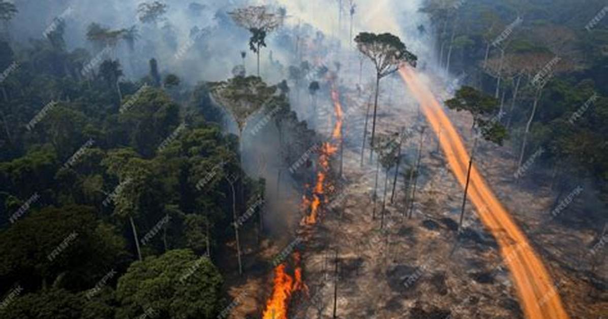 Amazon Catastrophe