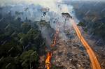 Amazon Catastrophe