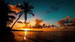 Ambience