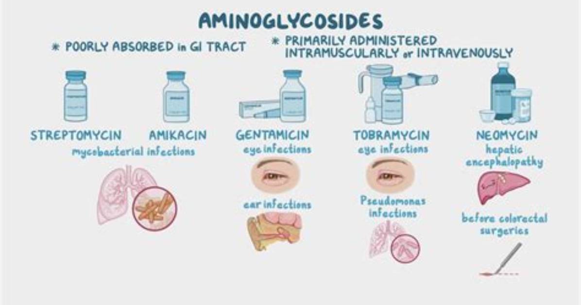Aminoglycosides Examples