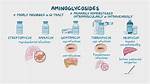 Aminoglycosides Examples