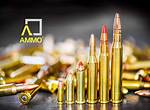 Ammo Net Worth