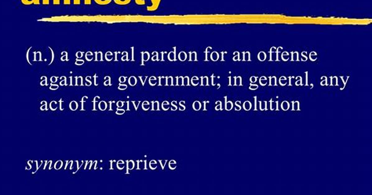 Amnesty Synonym