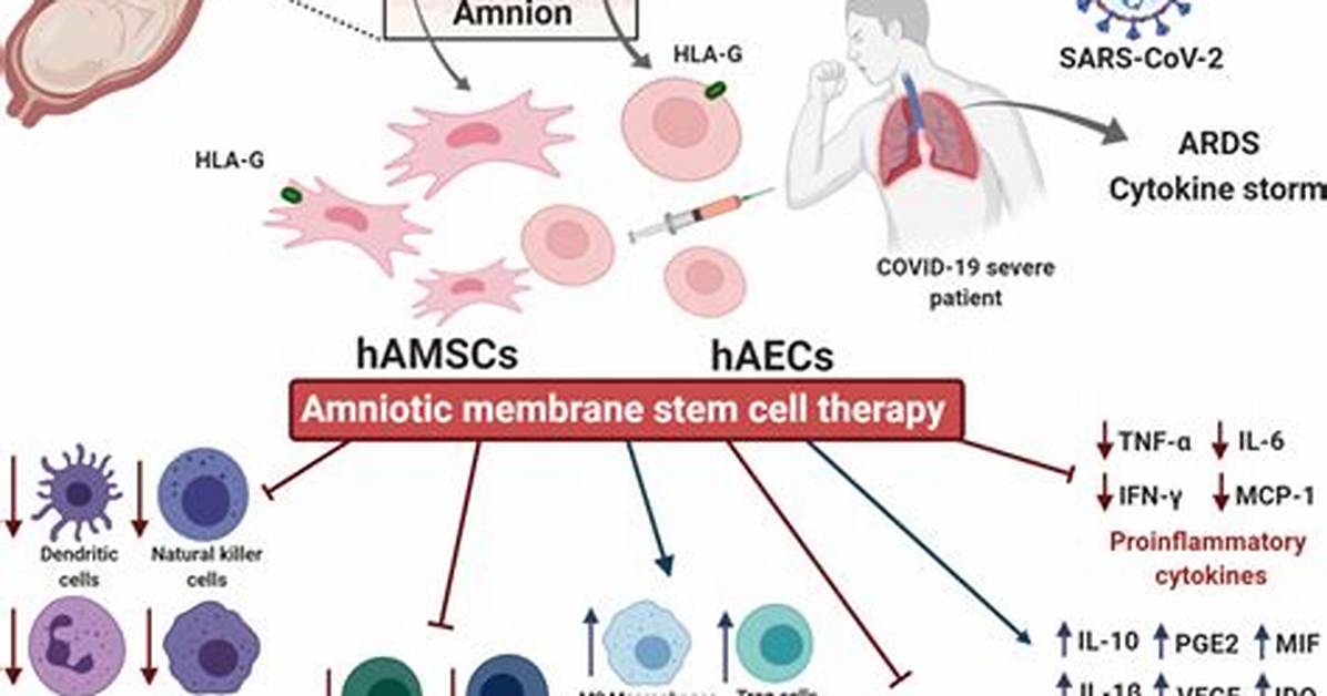Amniotic Stem Cell Therapy