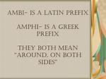 Amphi Prefix