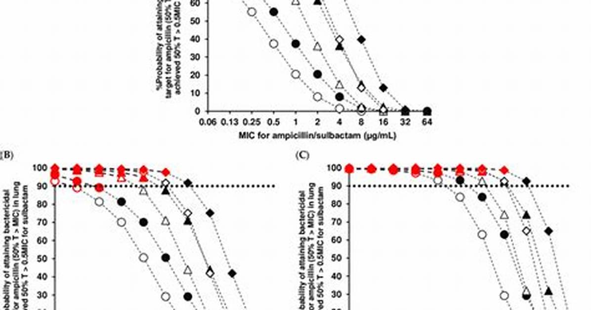 Ampicillin Target