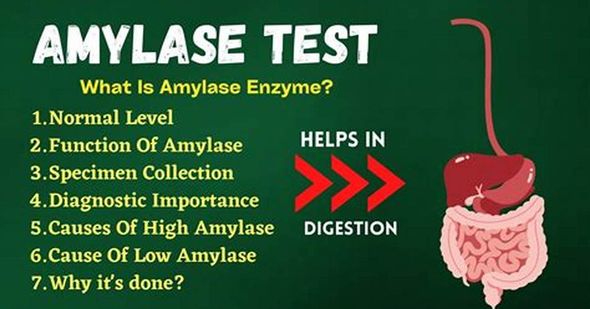 Amylase Normal Range