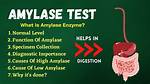 Amylase Normal Range