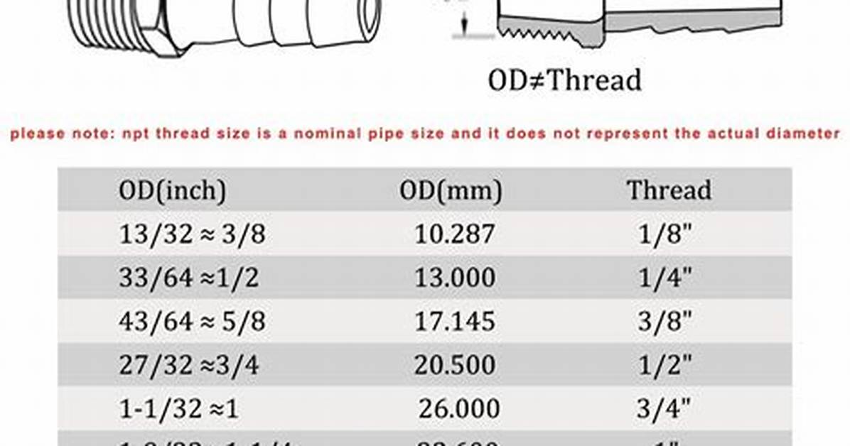 An Fitting Size Chart