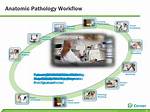 Anatomic Pathology