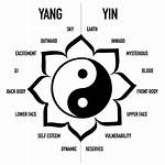 ___ and Yang