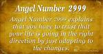 Angel Number 2999