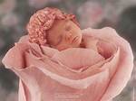 Anne Geddes
