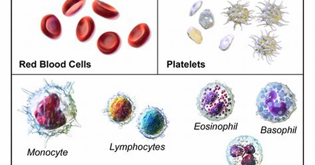 Another Name for Platelets