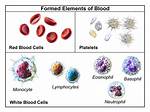 Another Name for Platelets