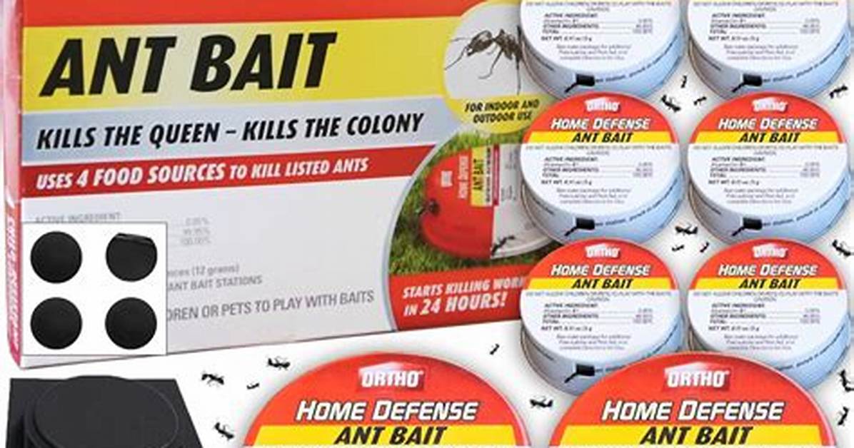 Ant Bait Traps