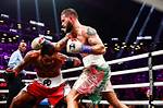Anthony Dirrell - the Ring