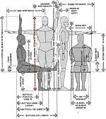 Anthropometrics Definition