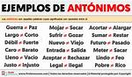 Antonimos Ejemplos