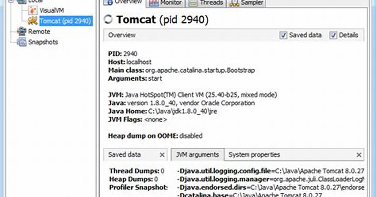 Apache Tomcat Error