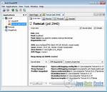 Apache Tomcat Error