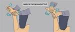 Apley’s Compression Test