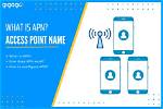 Apn Meaning
